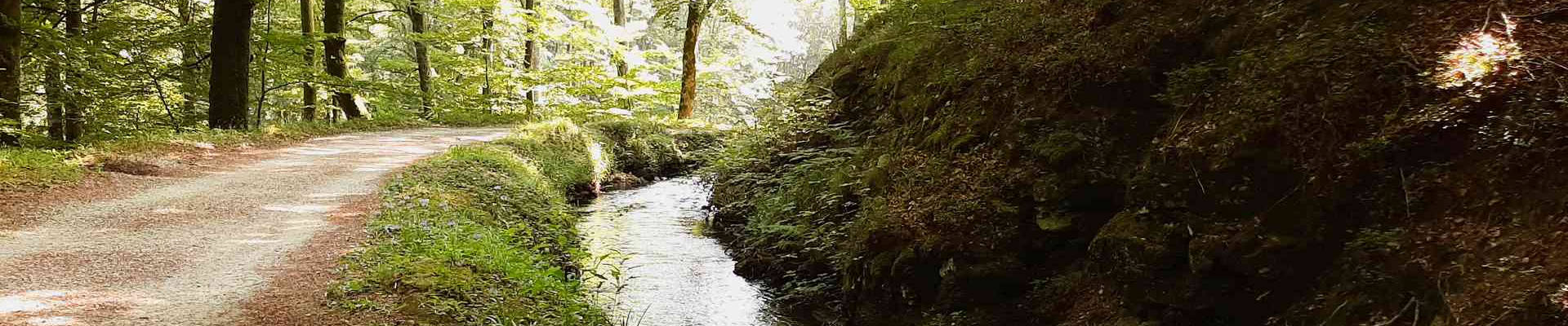 Randonnée rigole de la Montagne Noire sources du Canal du Midi