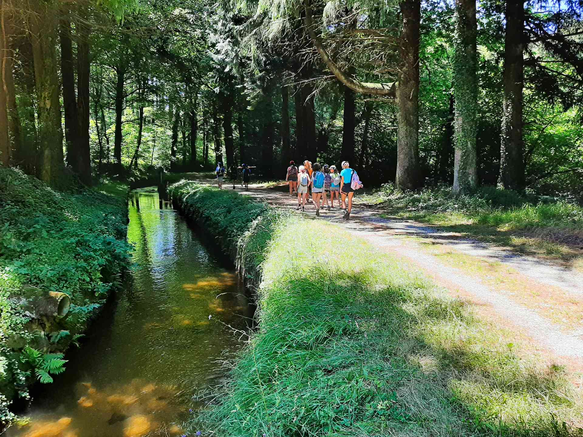 Randonnée avec un groupe sous l'ombre des douglas Randonnée avec des jeunes le long de la rigole