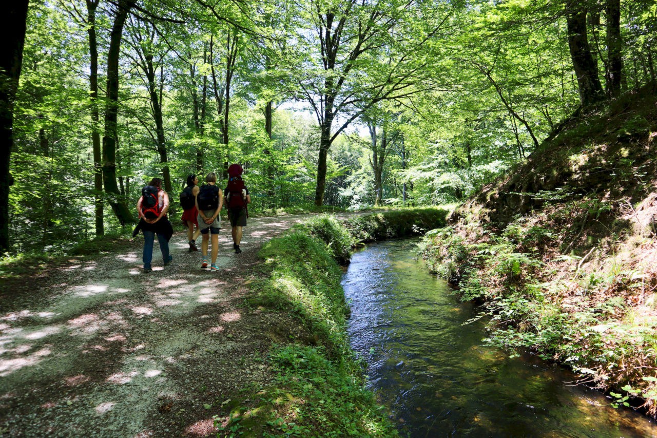 Aux sources du Canal du Midi - Les chemins de Colin