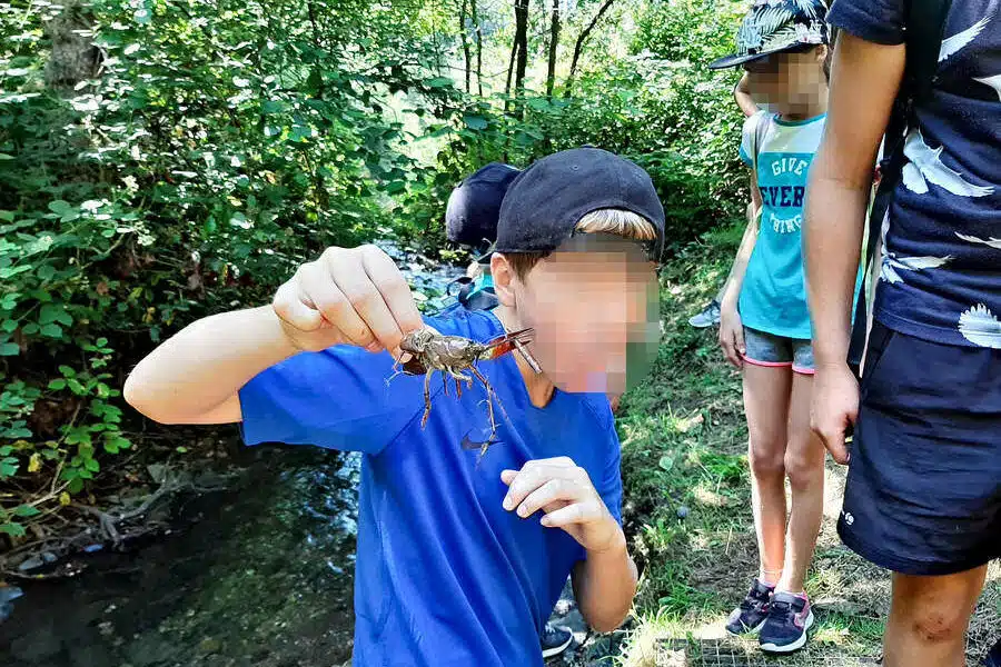 Enfants s'amusant à pêcher les petites bêtes