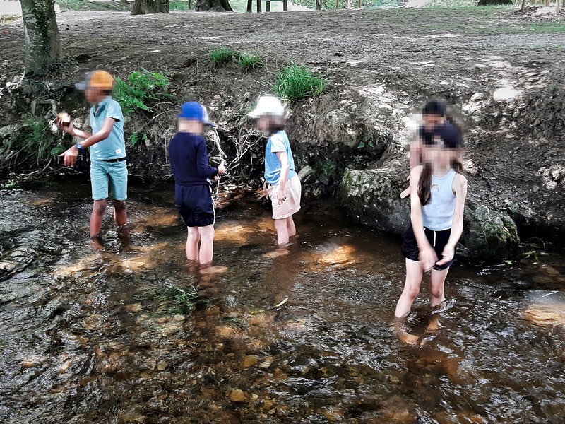 Cinq enfants debout dans l’eau claire d’un ruisseau, observant et jouant au fil de la rivière