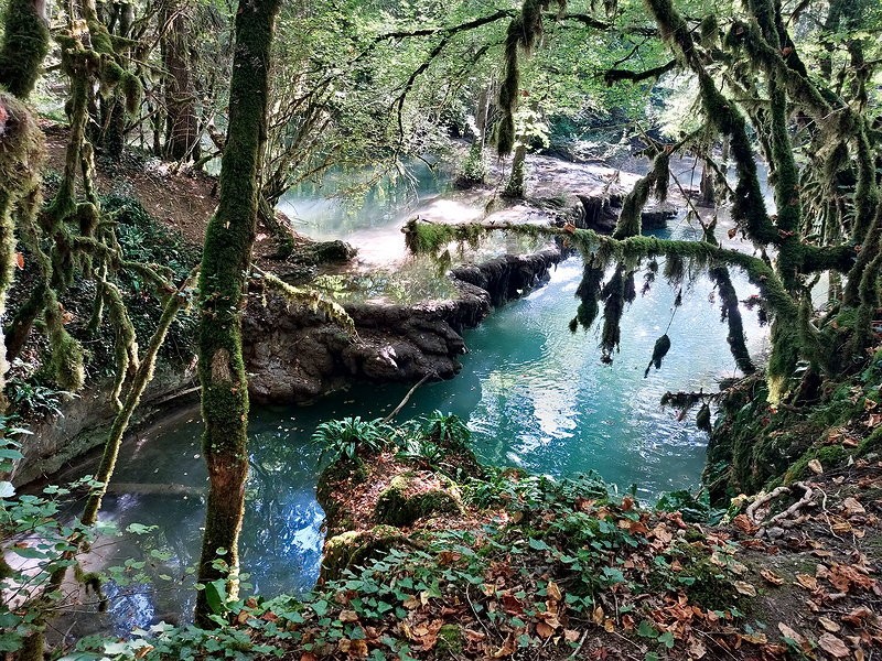 Vue paisible d’un ruisseau turquoise serpentant dans une forêt moussue près de Cahors