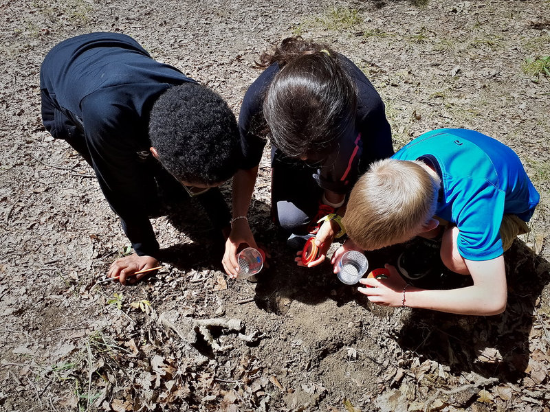 Enfants examinant le sol forestier avec loupe et boîte loupe lors d’un atelier éducatif près de Cahors