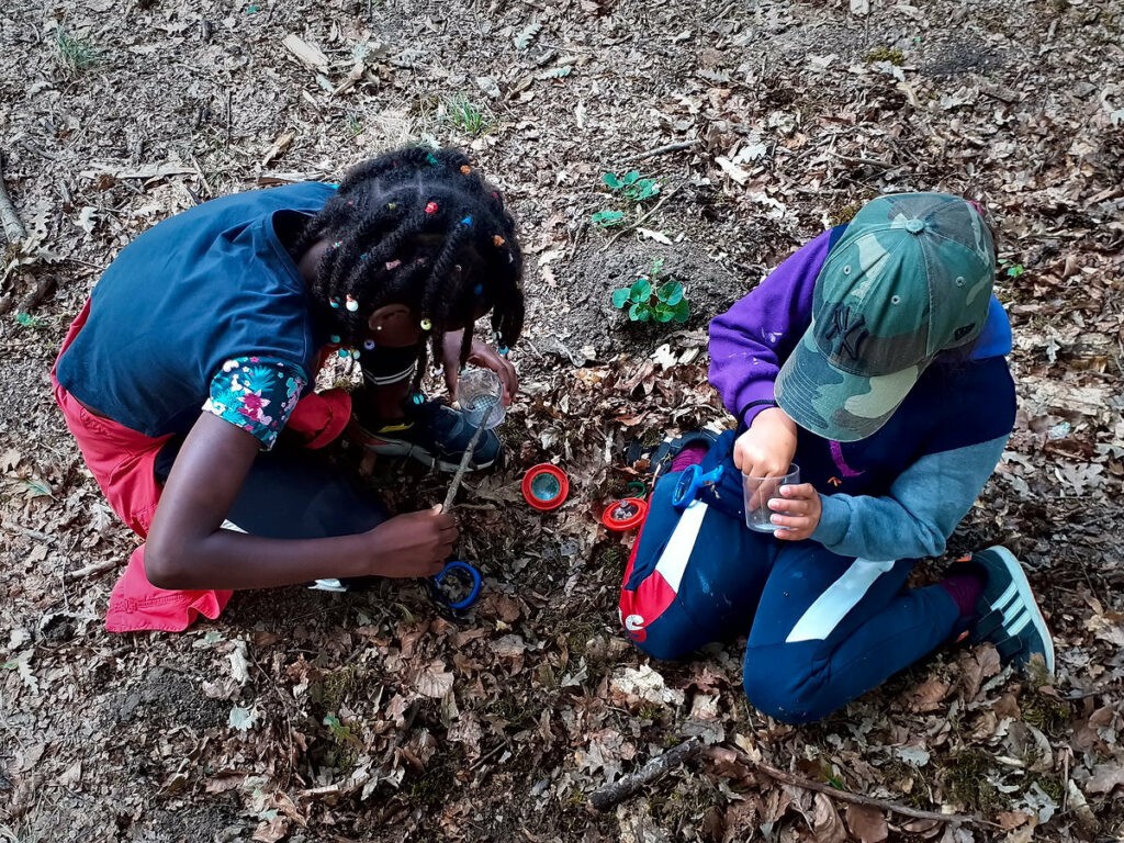 Deux enfants observent la litière forestière et manipulent des boîtes loupe lors d’une activité éducative en forêt